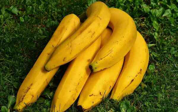 久久热香蕉的相关图片
